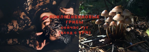 таблы Бронницы